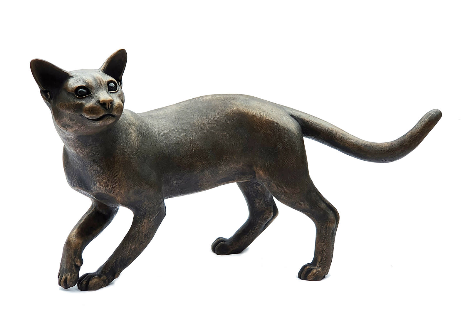 Phoebe, Burmese Cat Walking