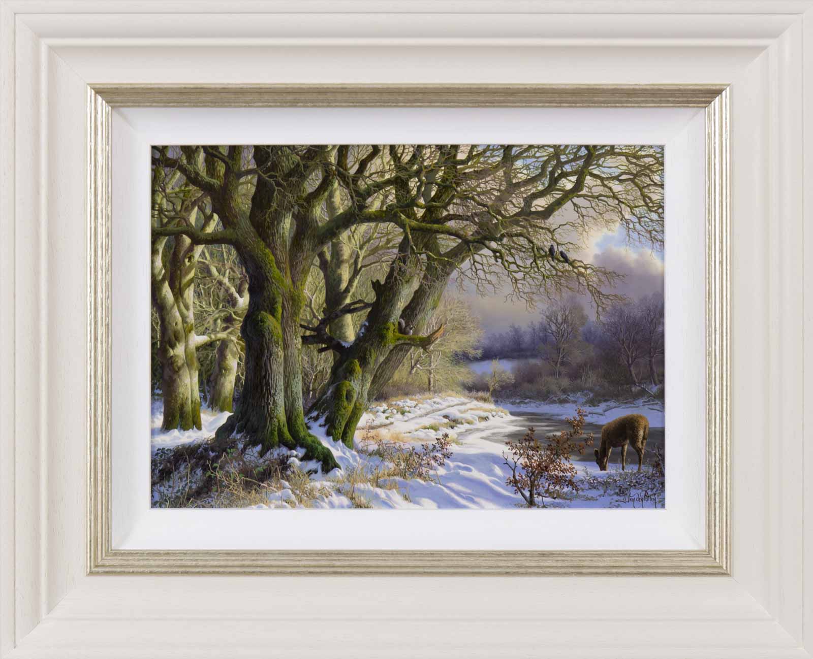 Winter Afternoon Light