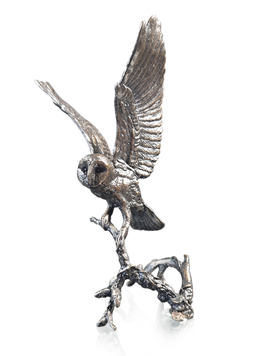 Barn Owl With Pinecones (1189)