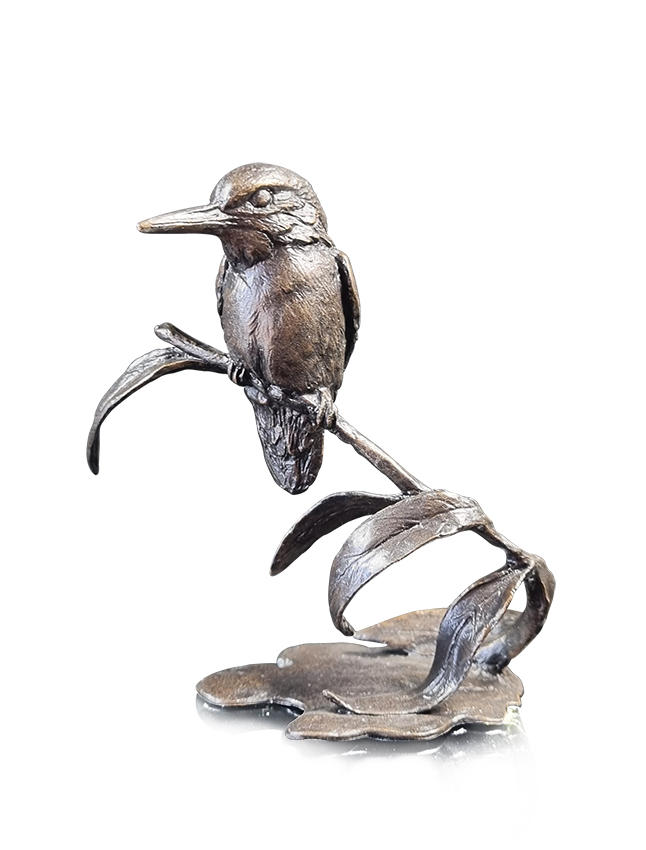 Small Kingfisher (1192)