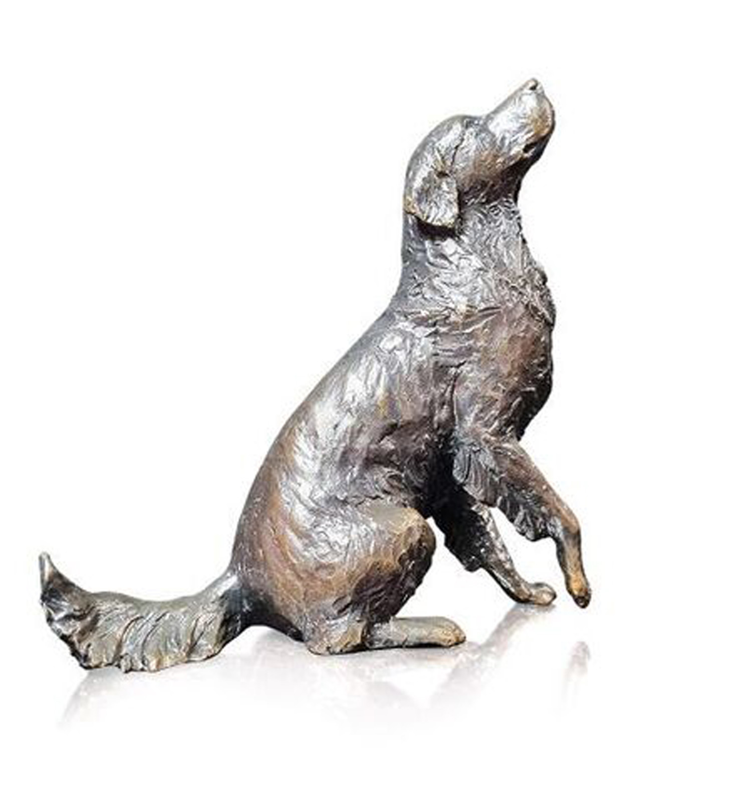 Medium Retriever Dog Sitting (1201)