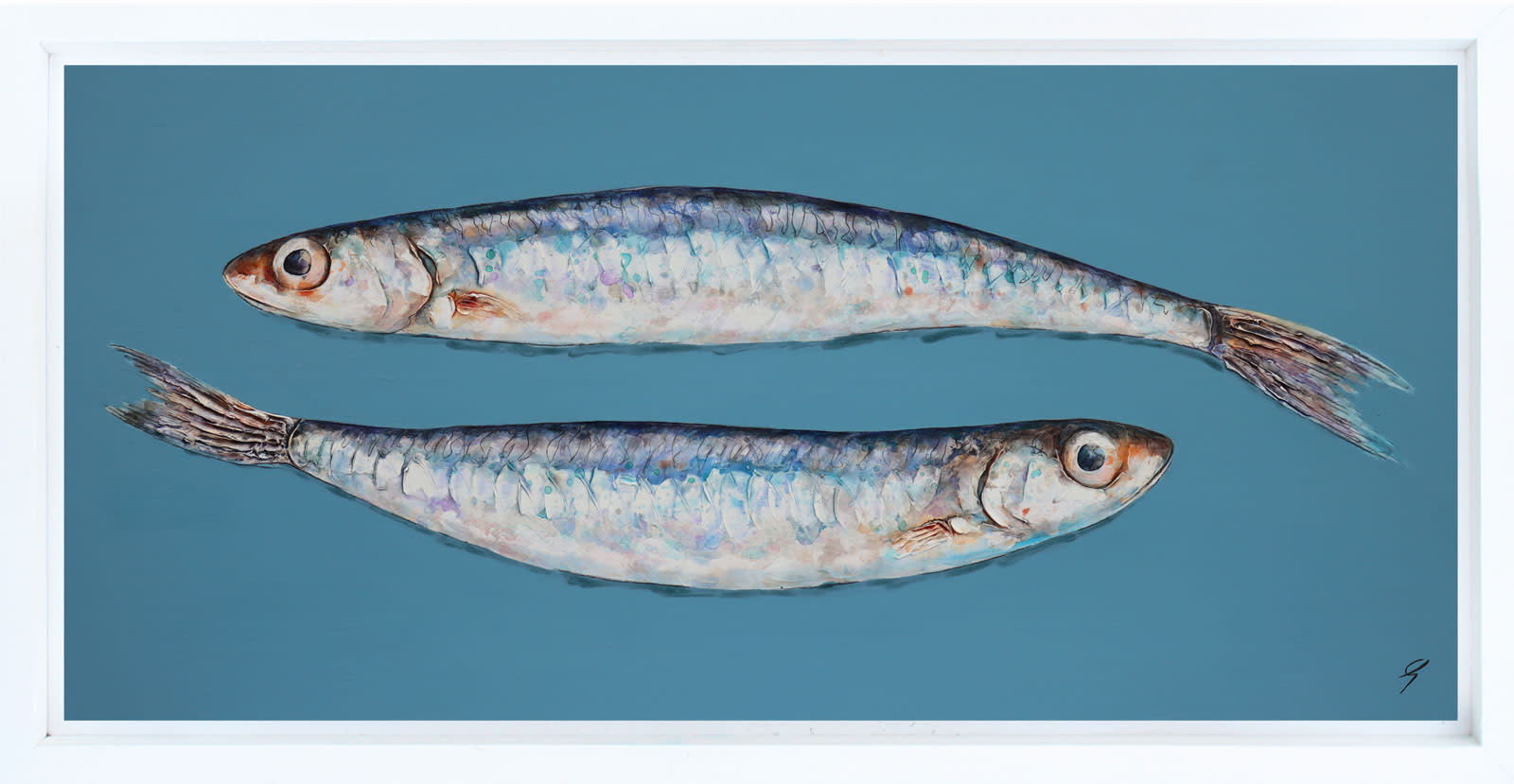 Two Anchovies