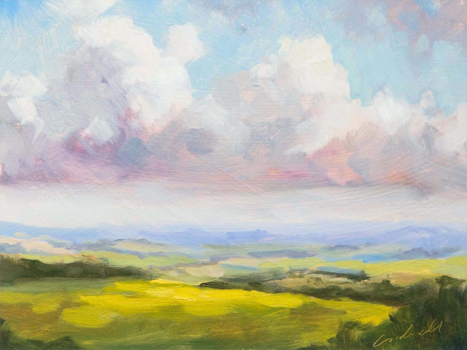 Rambling Views (Limited Edition)