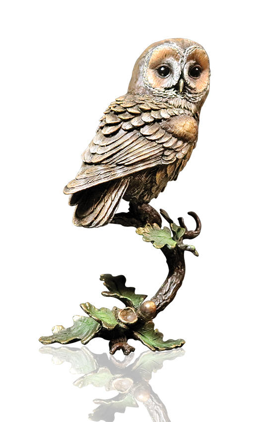 Tawny Owl with Acorns