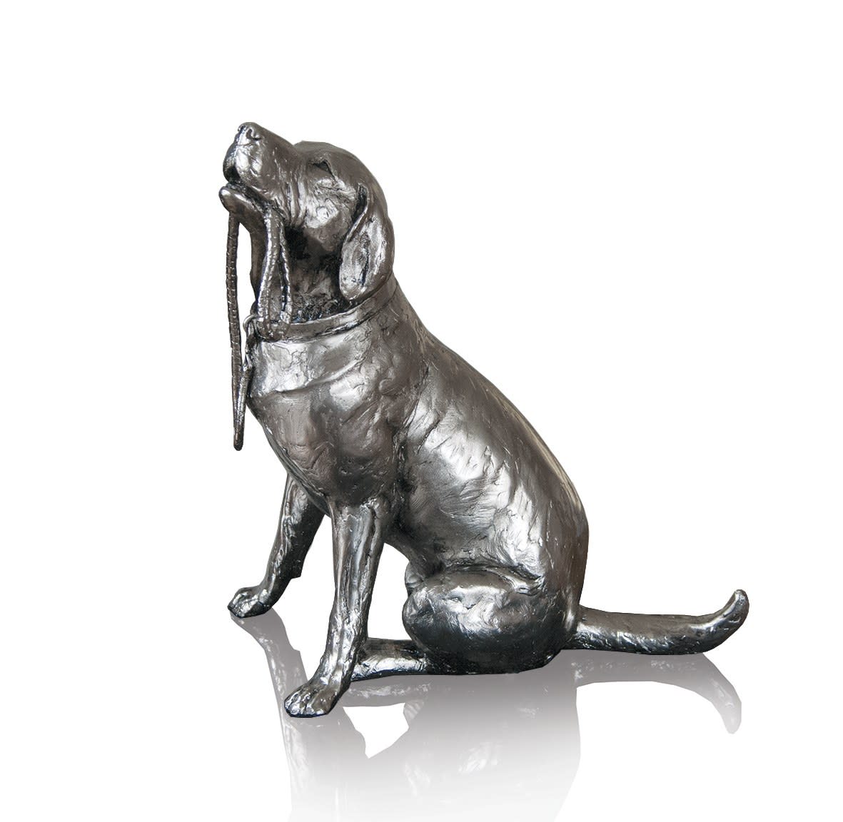 Labrador Dog (306NP)