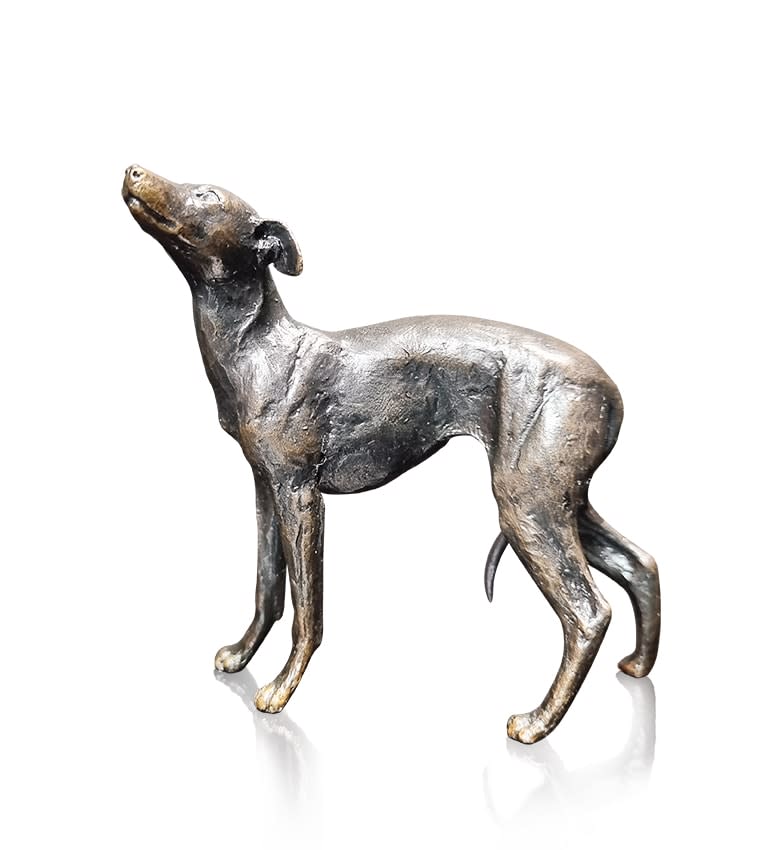 Whippet Dog Standing (1199)