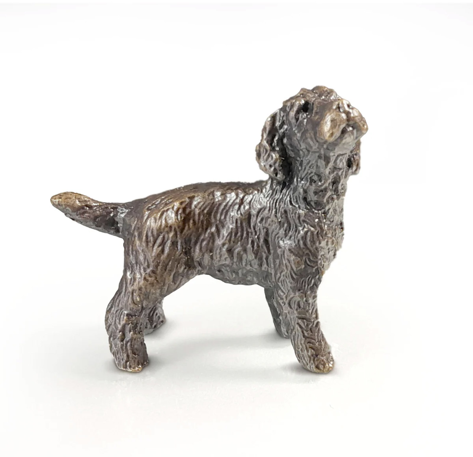 Miniature Bronze Cockapoo (2095)