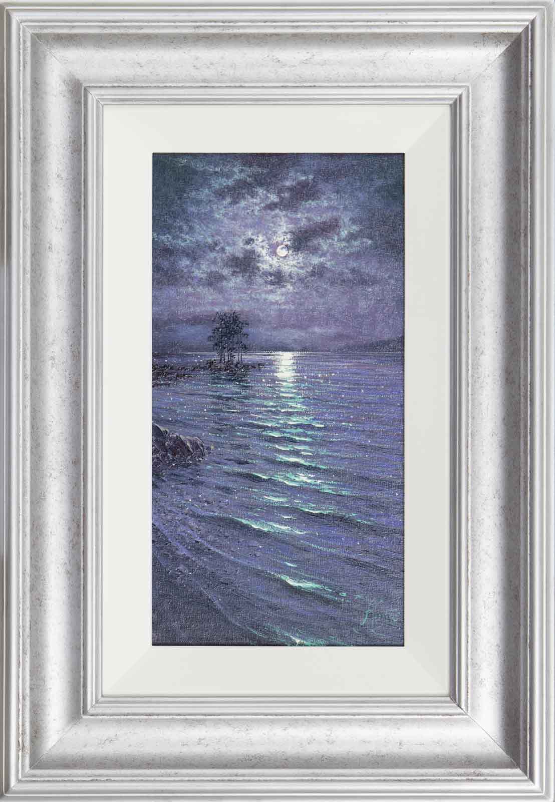 Nocturne Reflections