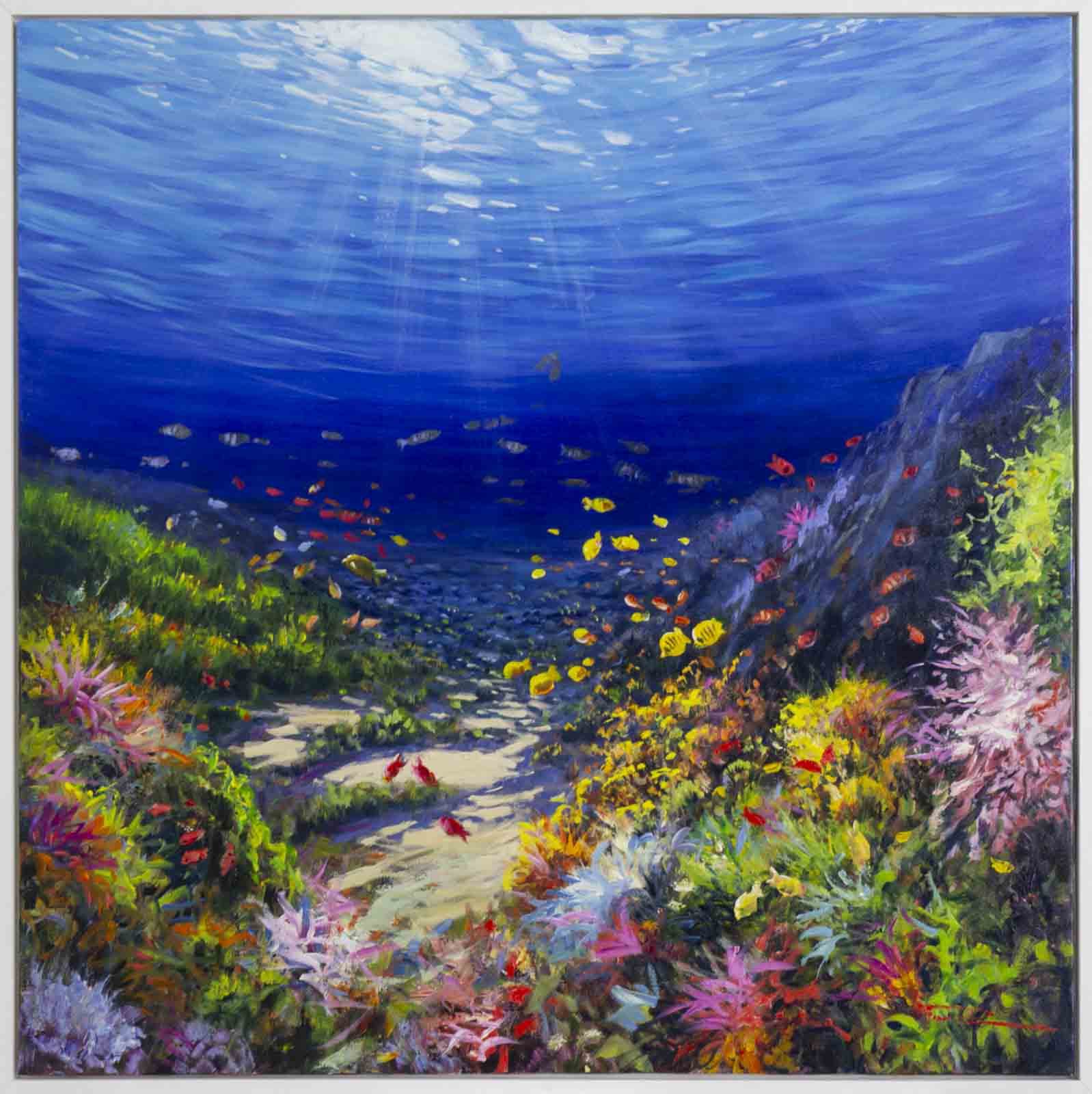 Underwater Paradise I, Red Sea Diving