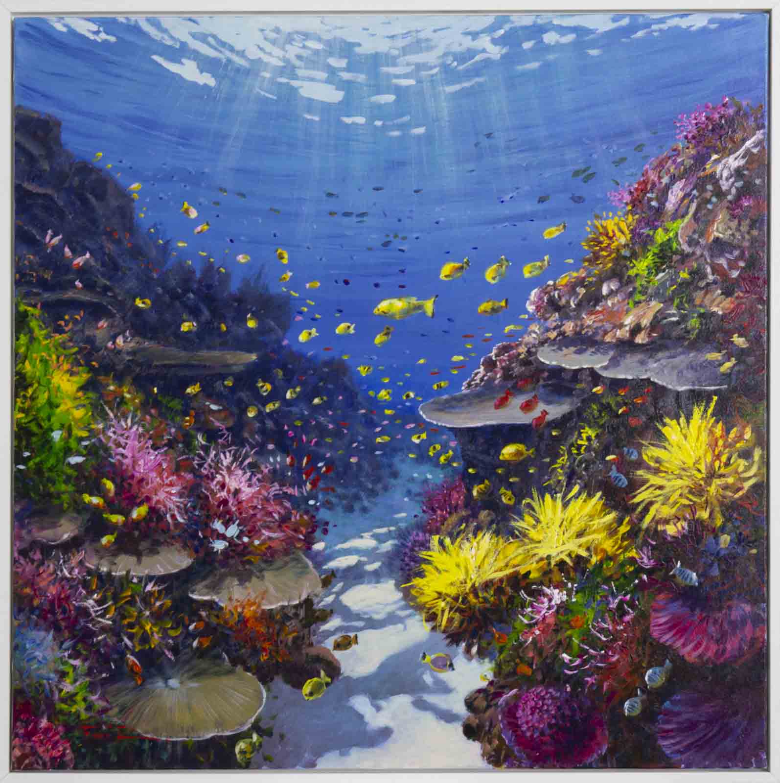 Underwater Paradise II, Great Barrier Reef