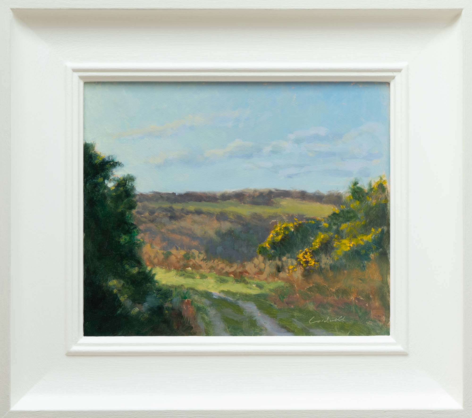 Autumn Glow, Ashdown Forest