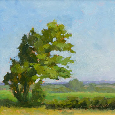 Matthew Cordwell Original Paintings