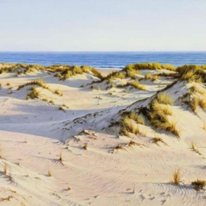 original Oil on Canvas painting of a beach landscape featuring lush sand dunes grass sea and sky captured in bright tones by talented Spanish artist Juan Antonio Domínguez