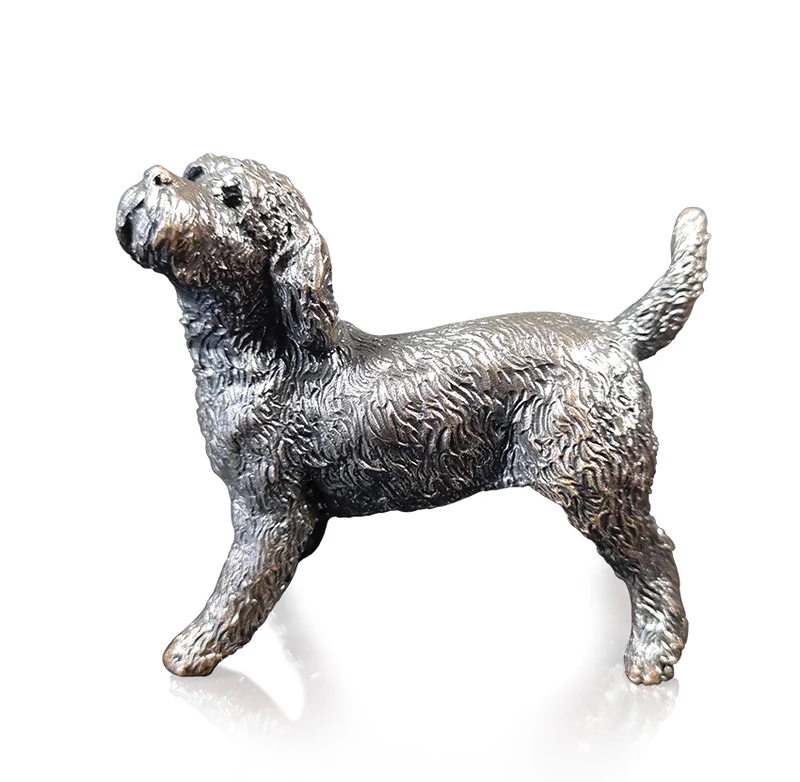 Cockapoo Dog Standing (1203)