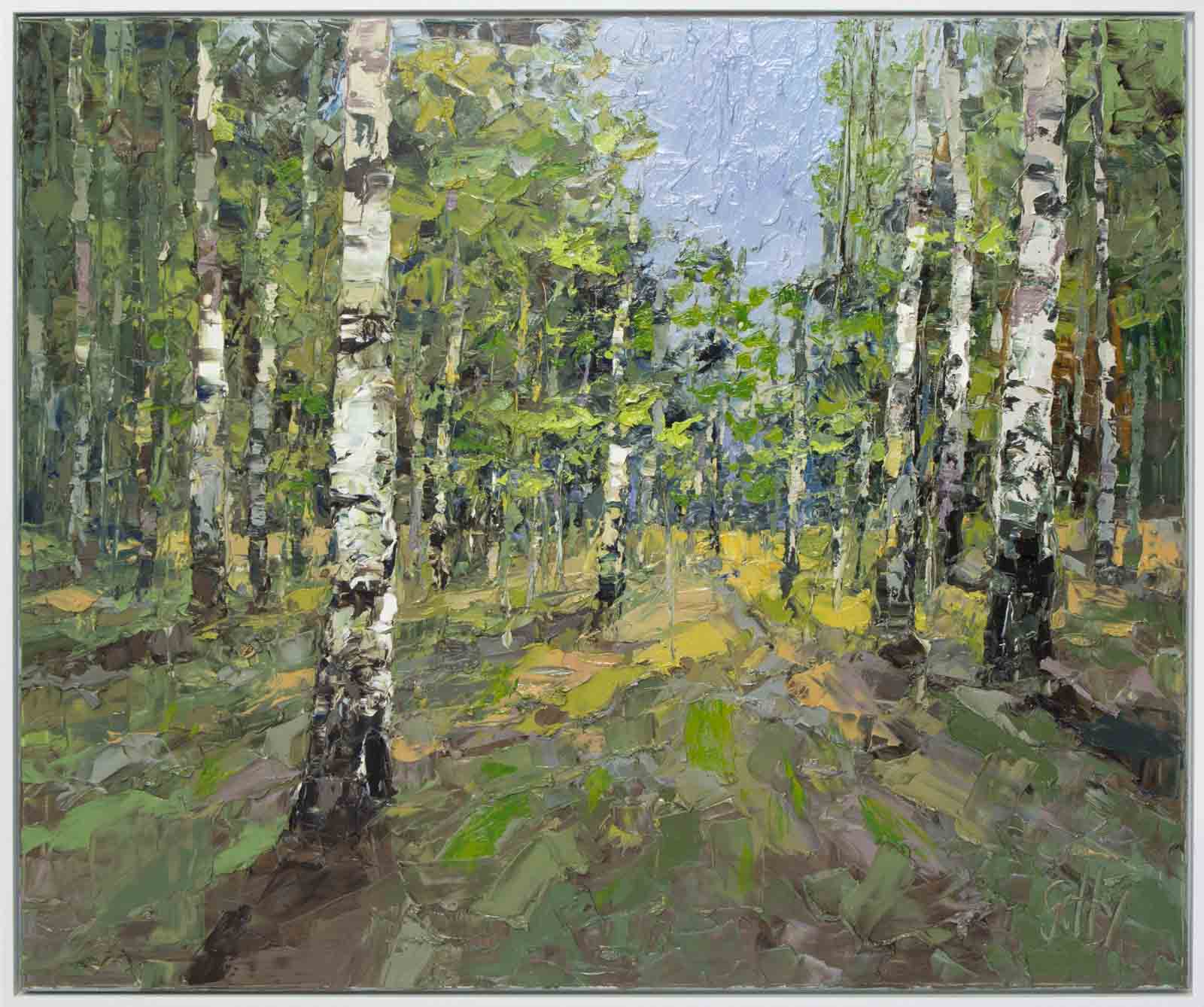 Dappled Light, Silver Birches