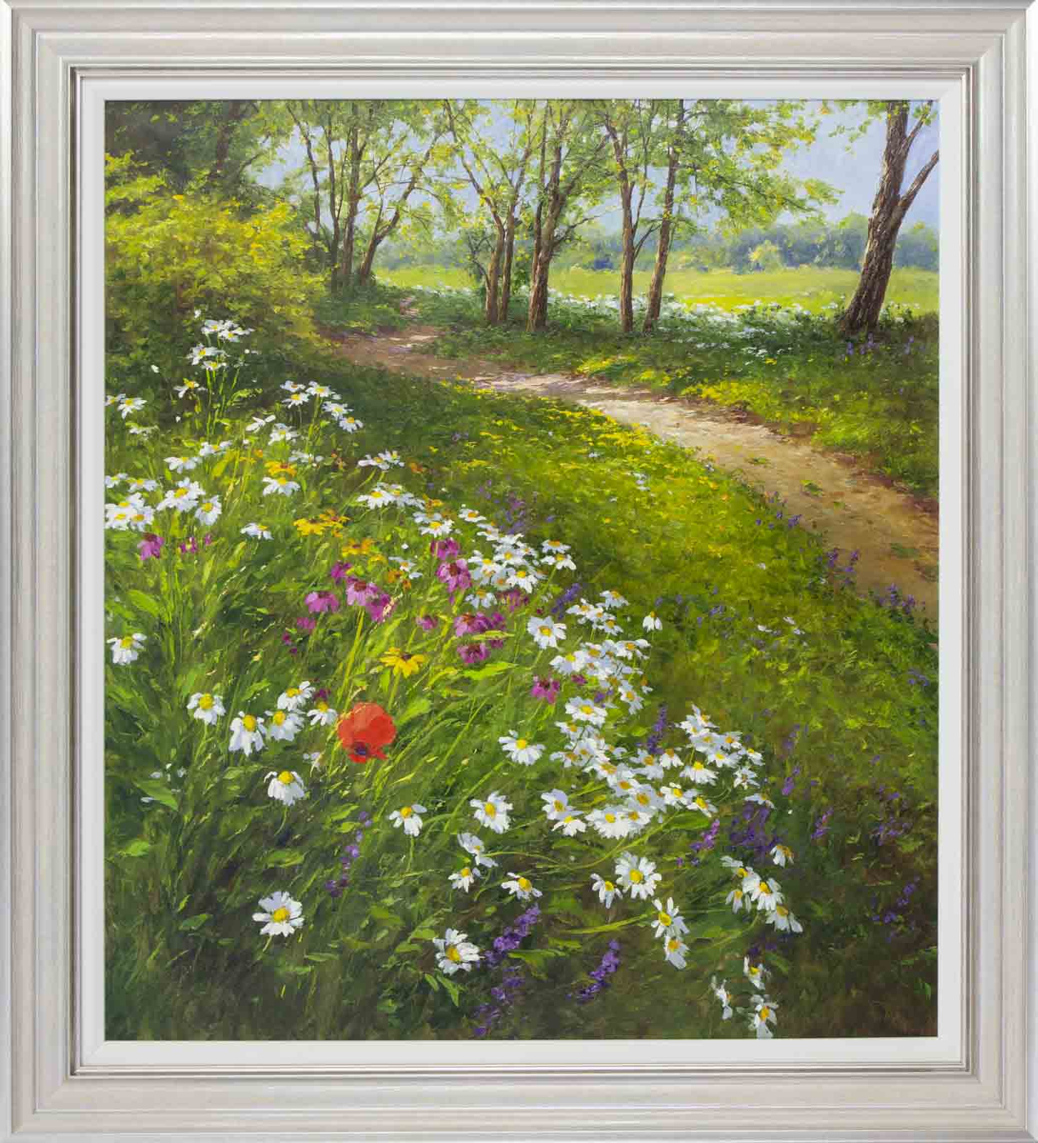 Walking Amongst Wild Flowers, Poppies & Daisies