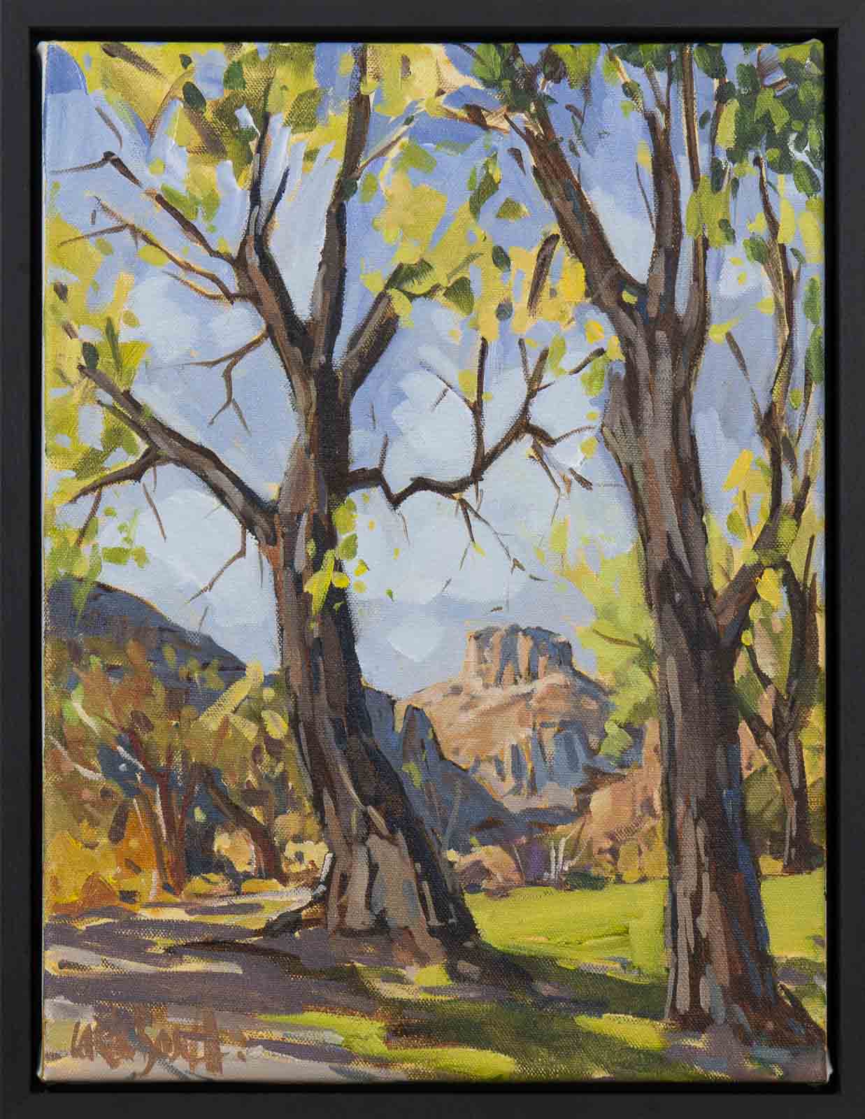 Through The Cottonwoods