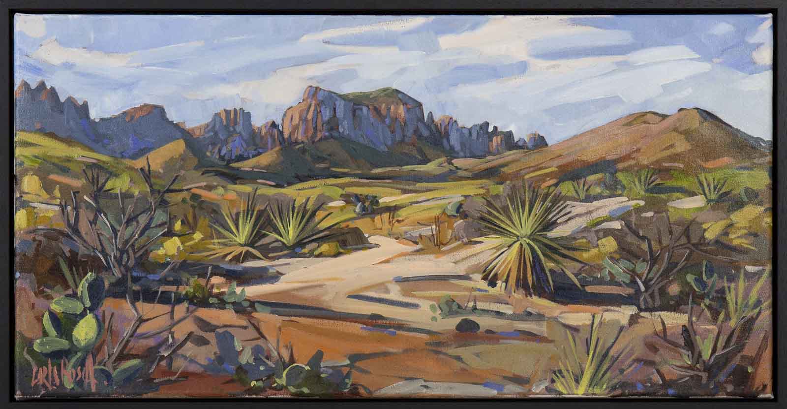 Magnificent Chisos Mountains