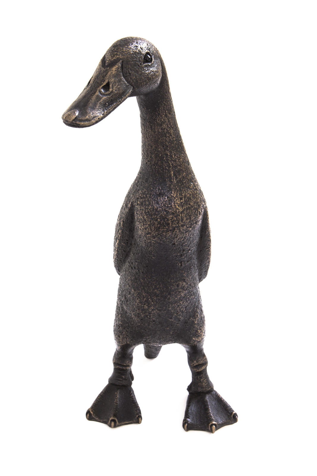 Buzz, The Indian Runner Duck