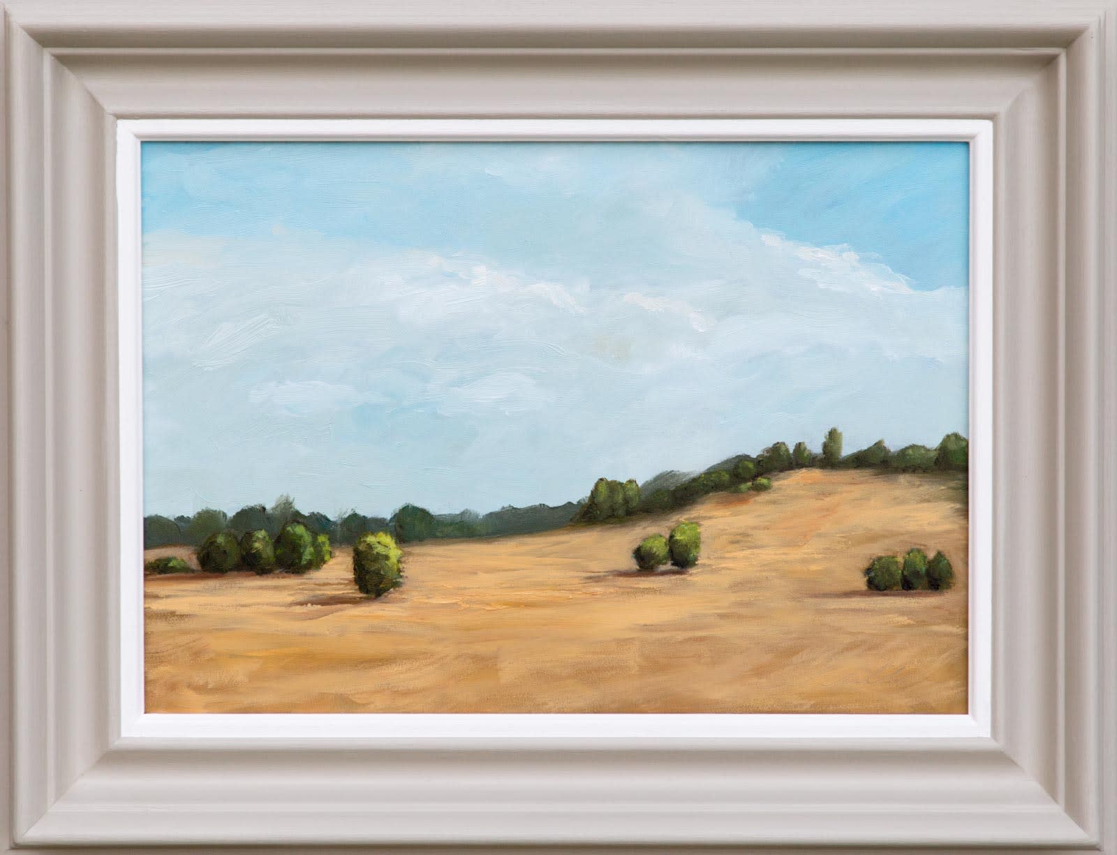 Petworth Park Commission