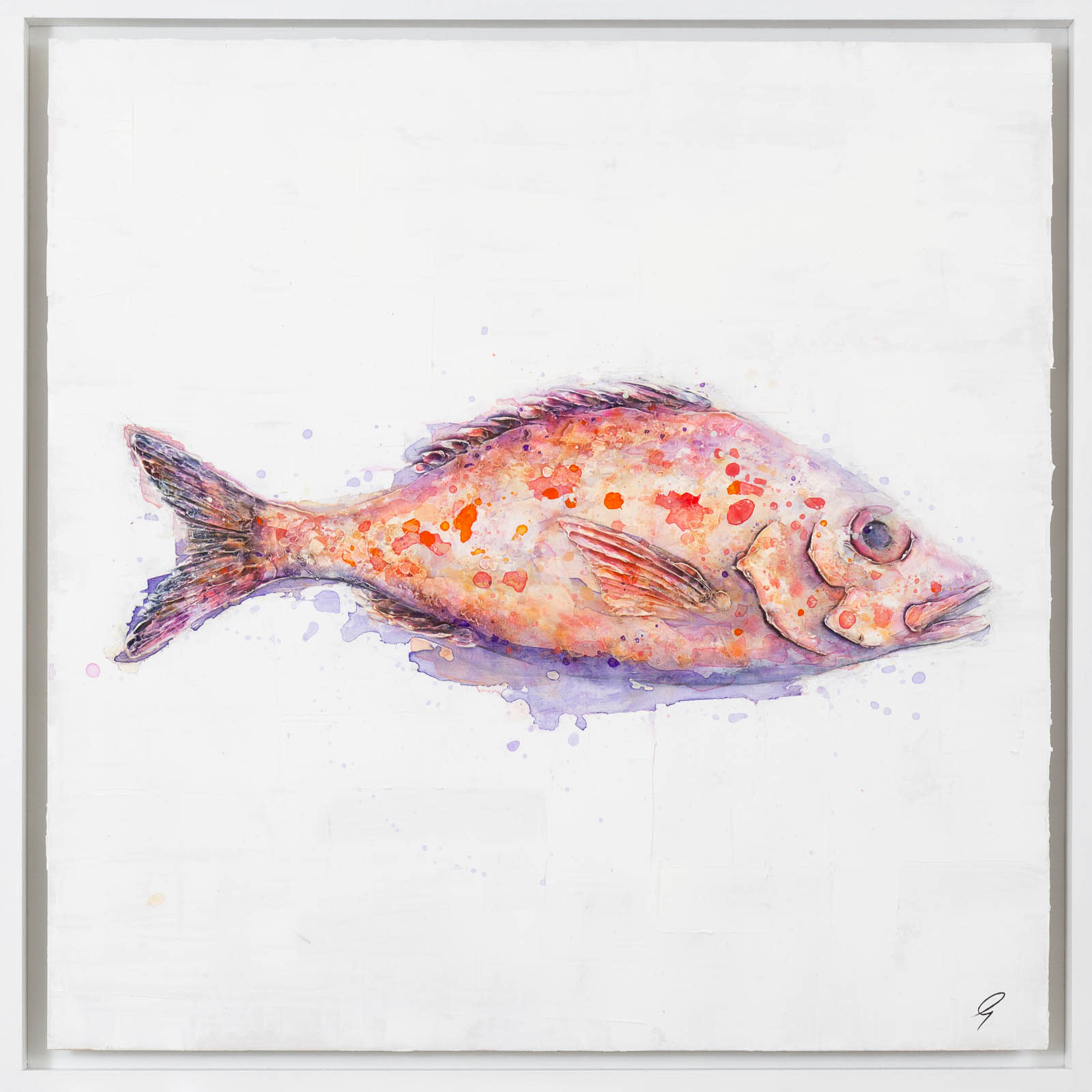 Red Snapper on Linen