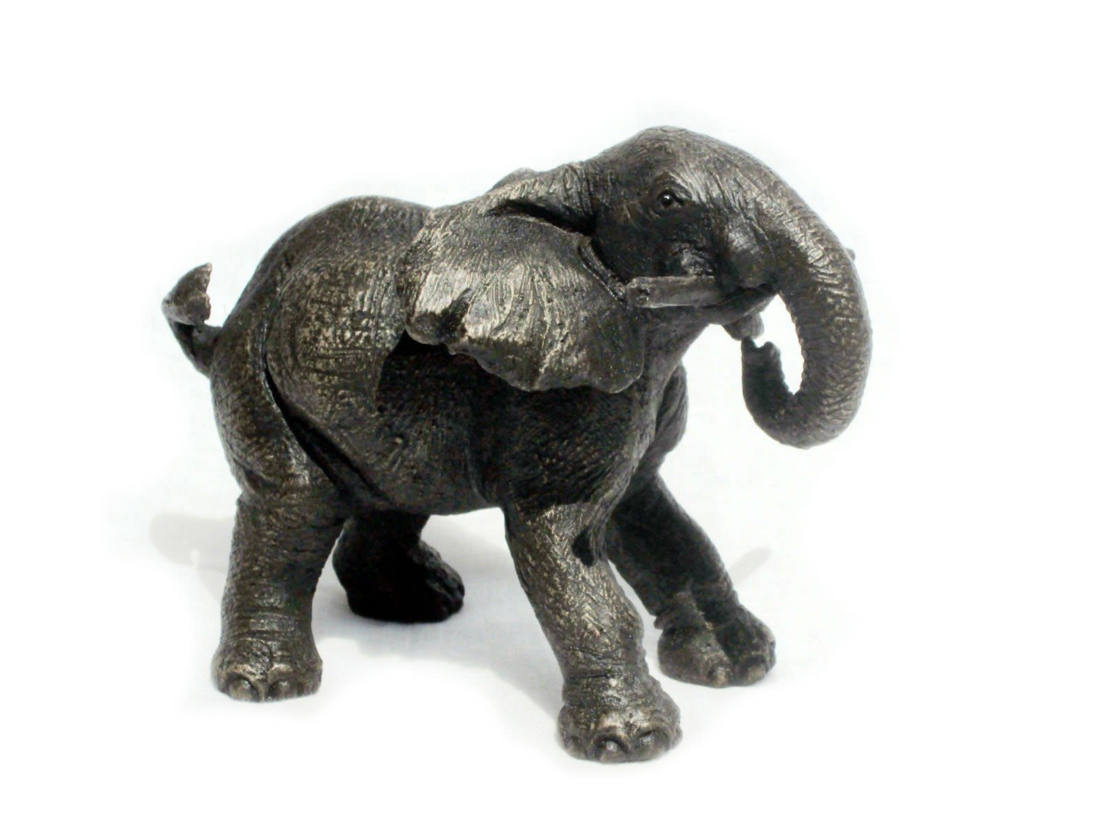 Thabisa, African Elephant Calf Playing