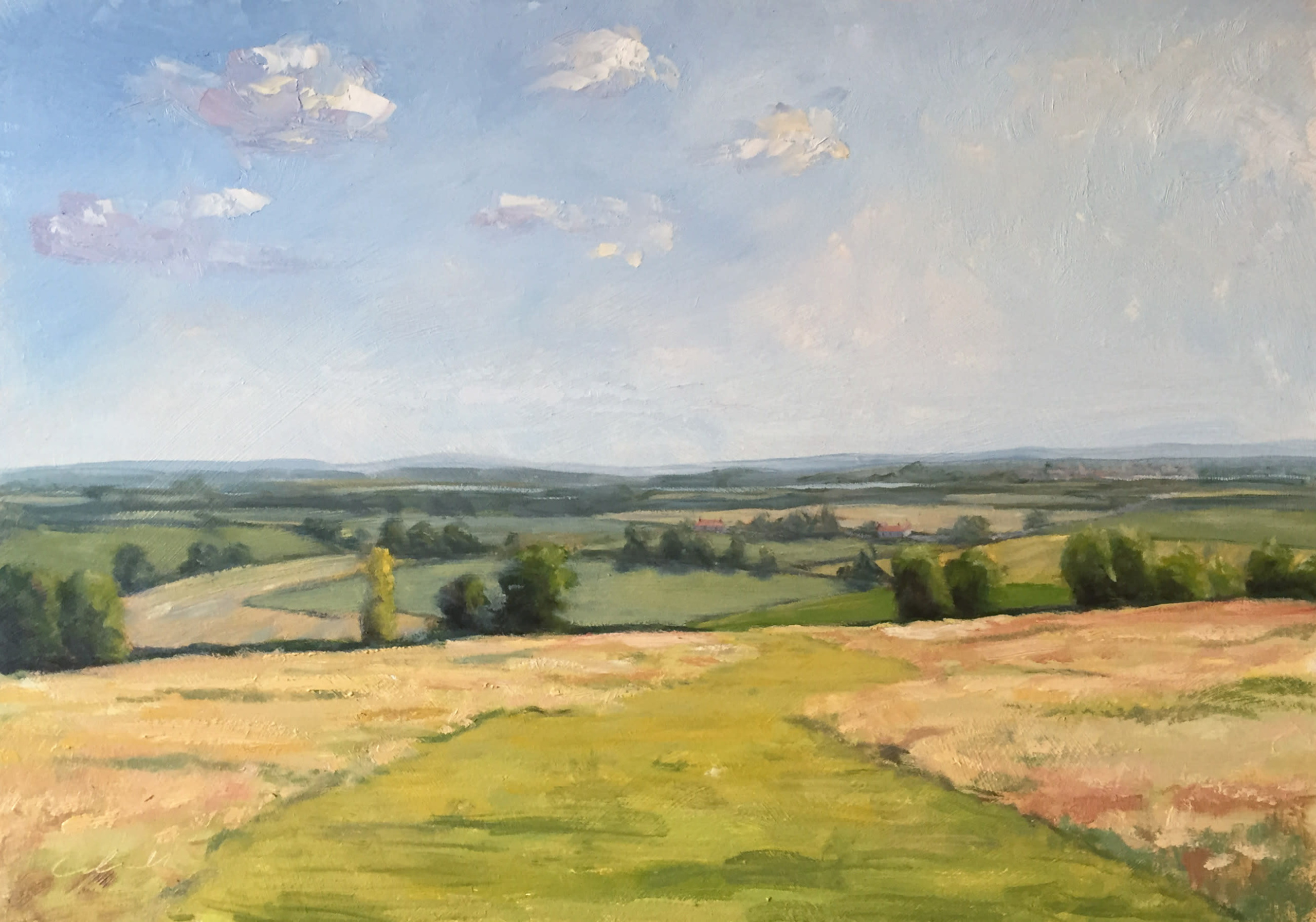 High Summer, South Downs (Commission)