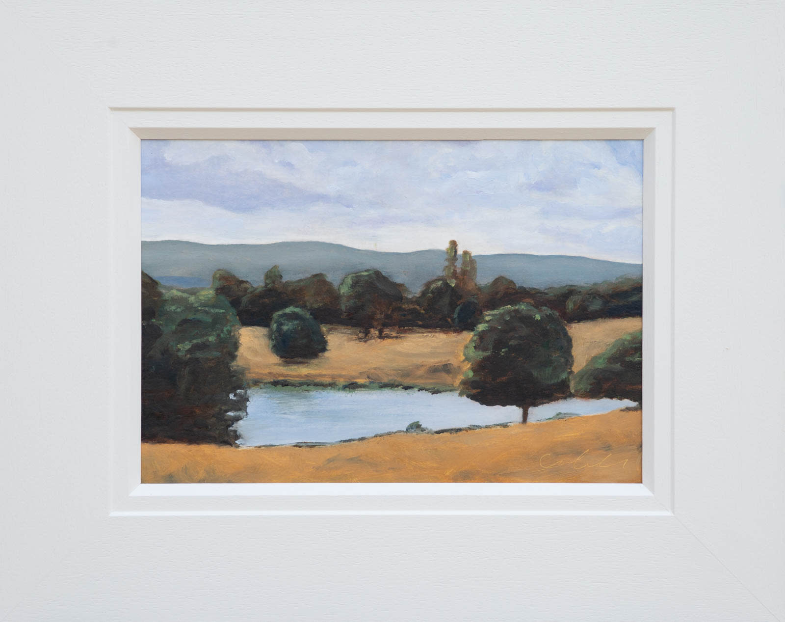 Petworth Park Memories