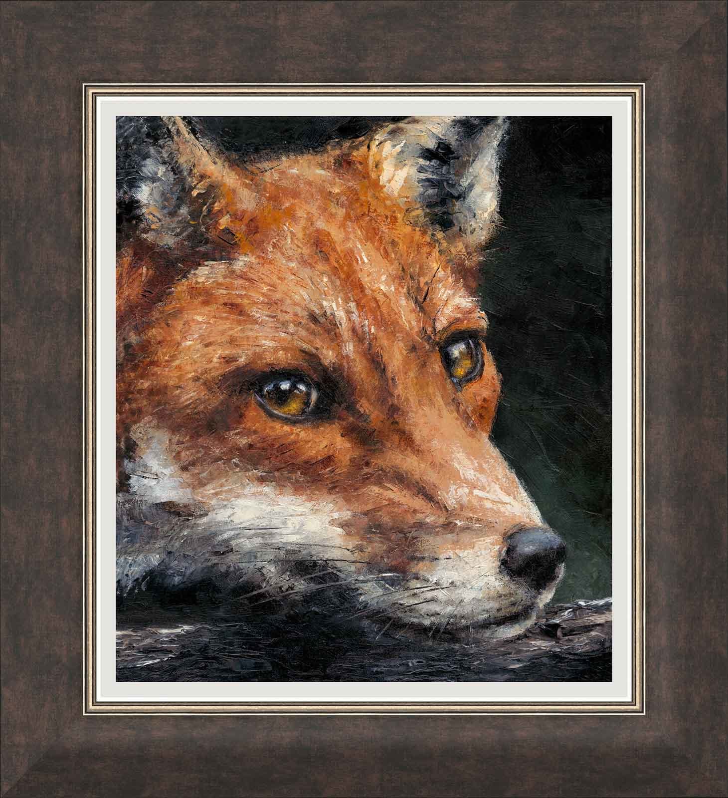 Red Fox Study