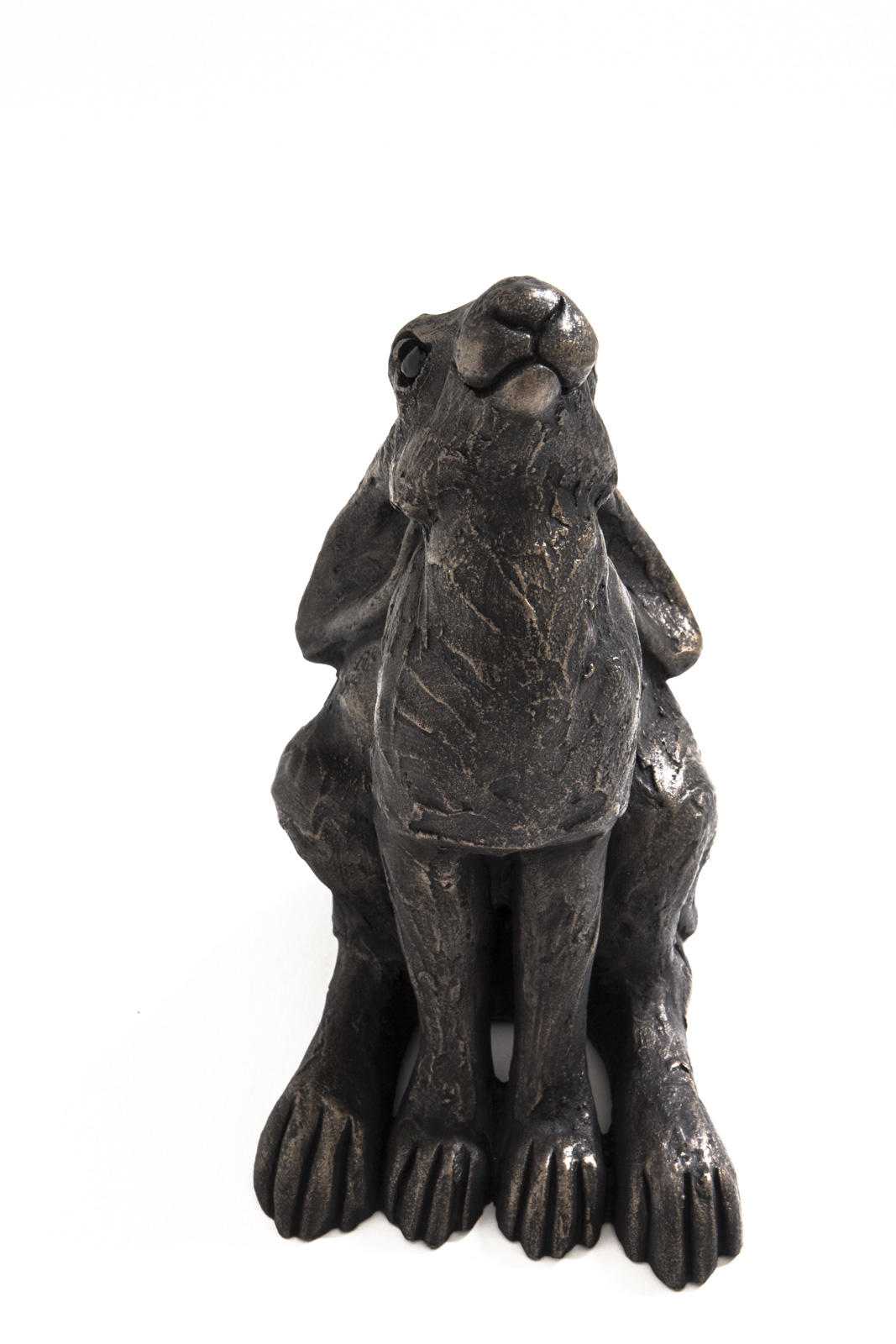 Small Moongazing Hare