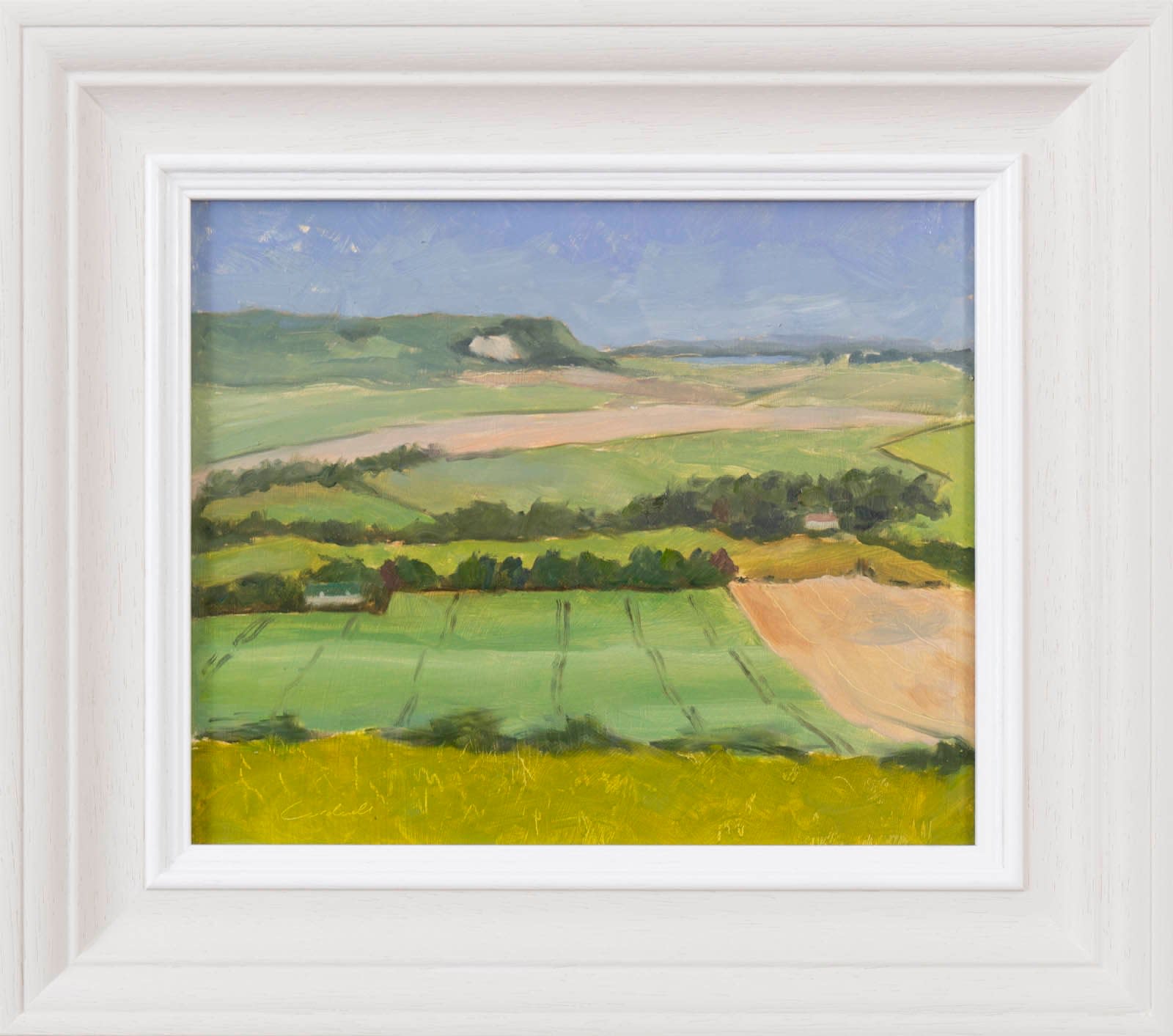 Harvest Time, South Downs