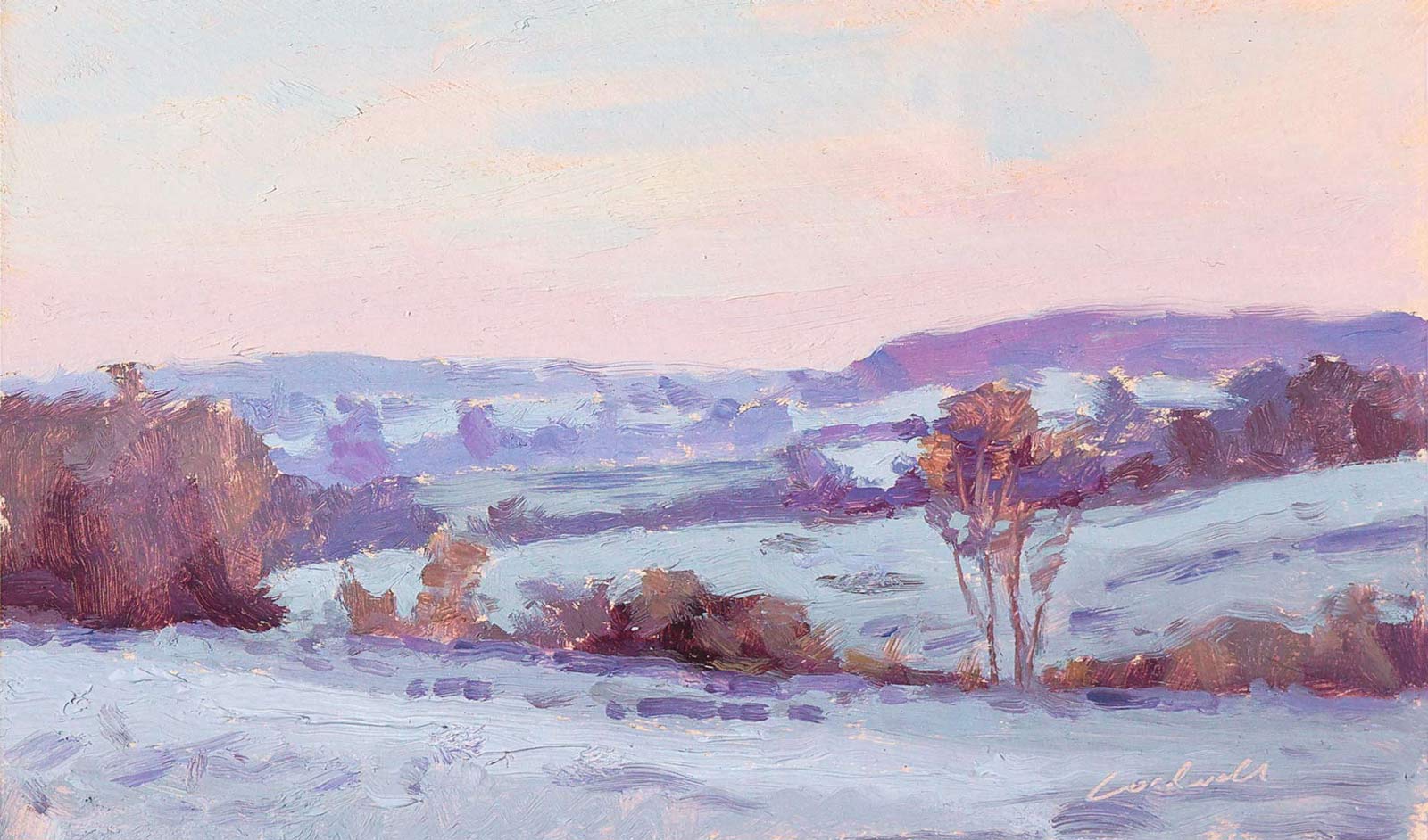 Silent Dawn (Limited Edition)