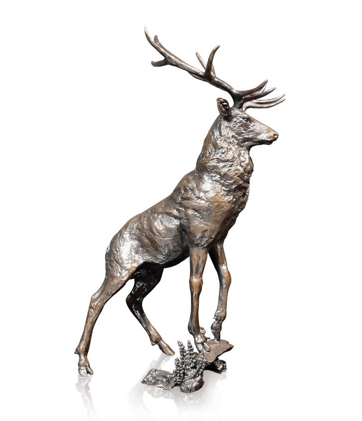 Vantage Point Stag (1182)